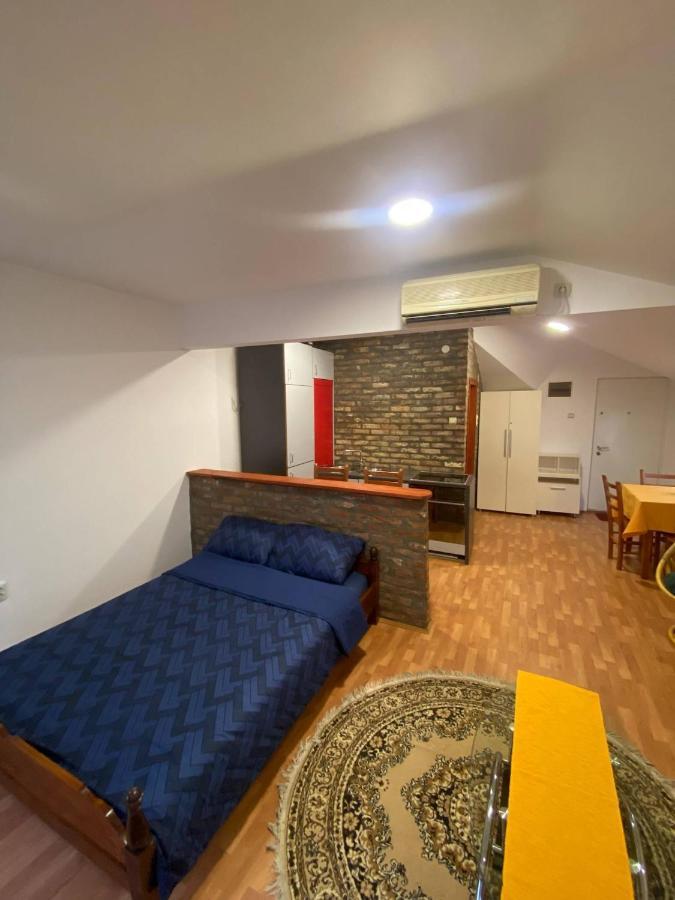 Twin Studio Apartments Zemun Belgrade Exterior photo